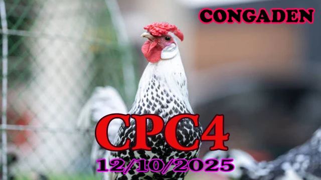 Xem Lại Clip Đá Gà C4 Hôm Nay 12/10/2025