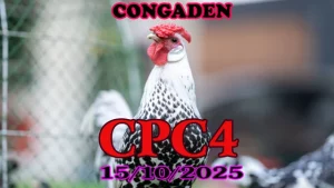 Xem lại đá gà Thomo hôm nay c4 ngày 15/10/2025