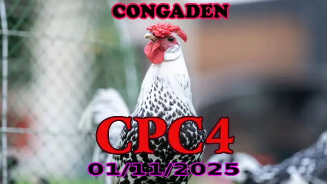 Xem lại clip đá gà Thomo CPC4 ngày 01/11/2025