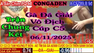 Gà Đá Giải Trận Chung Kết: A.Kẽ săn chim PQ (9đ-đỏ) vs A.CF789 B (9đ-xanh)