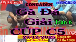 Gà Đá Giải C5 Trận 6 A.Vĩ K.Giang (3đ-đỏ) Vs A. Tư C.Thơ (0đ-xanh)-Hang Cân 3.4Kg