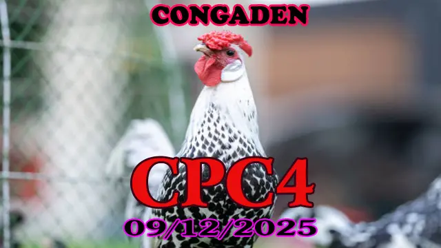Phát lại trực tiếp đá gà CPC4 hôm nay 09122025 tốc độ cao