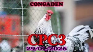 Xem Lại Video Đá Gà Trực Tiếp CPC3 29012026